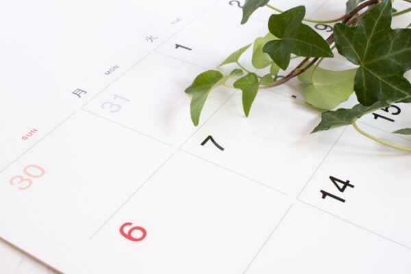 スケジュール画像